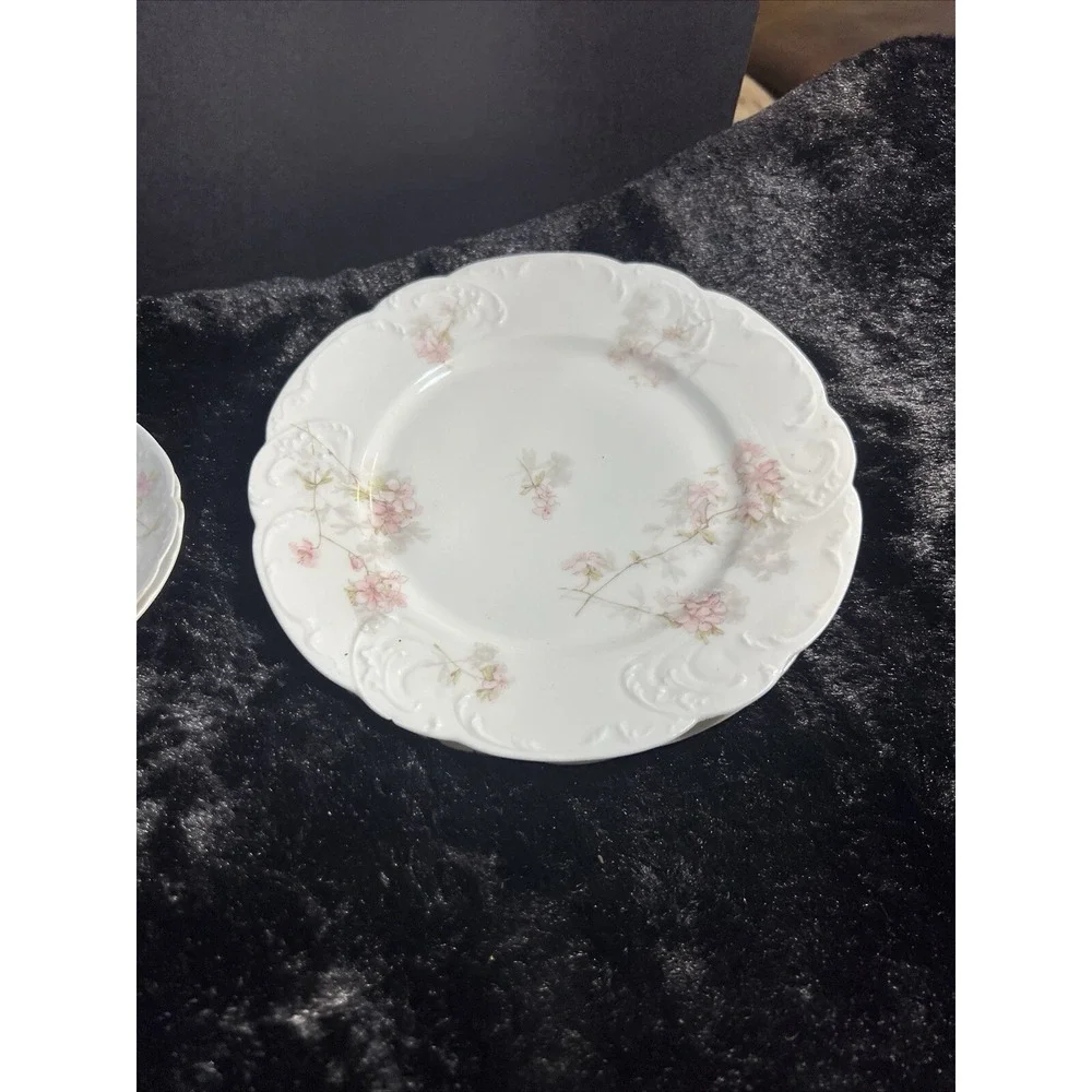 ANTIQUE 3 PC SET HAVILAND CHINA 2 PLATES‎ 1 SAUCER BEAUTIFUL PATTERN (981)